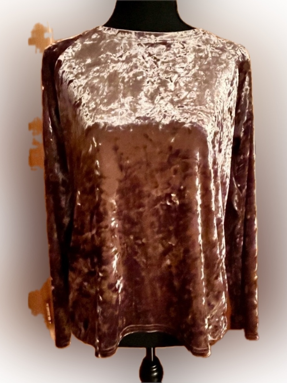 Urban CoCo SZ M Brown Crushed Velvet Long Sleeve Pullover Top Soft Shimmer Glam